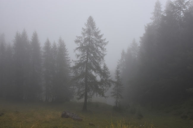 DSC_5471.jpg