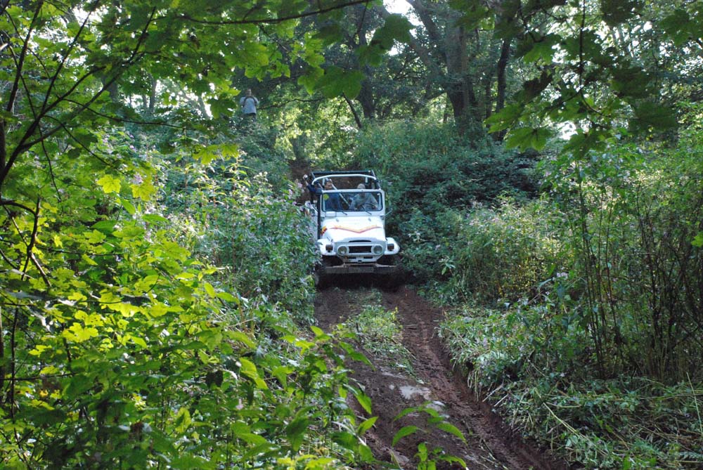 DSC_6283.jpg