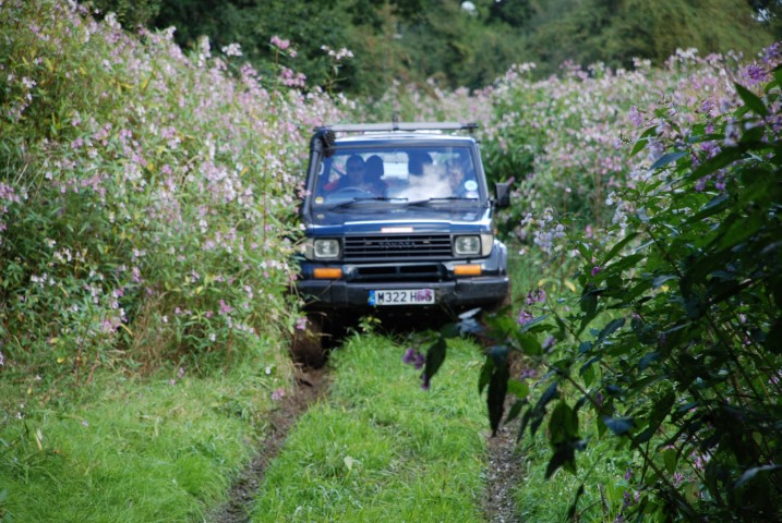DSC_7052.JPG