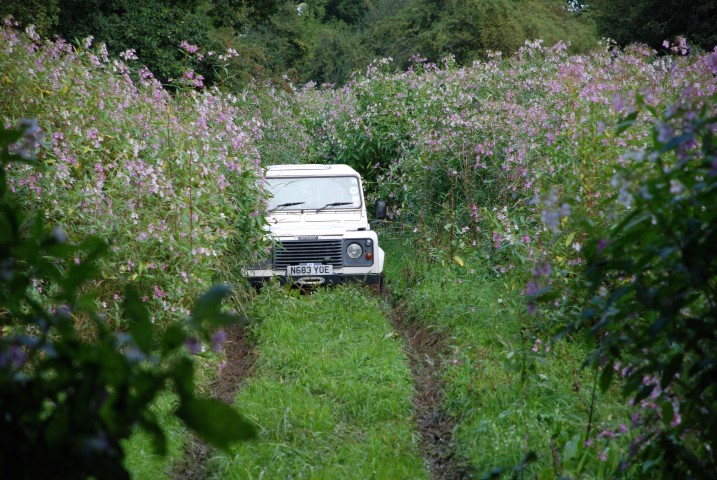 DSC_7071.JPG