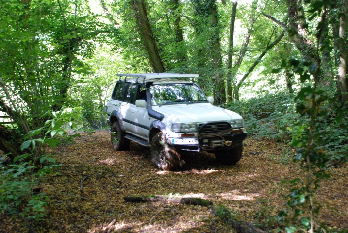 DSC_7188.JPG