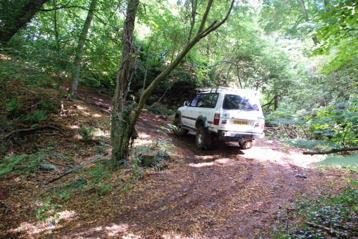 DSC_7190.JPG