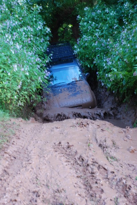 DSC_7255.JPG