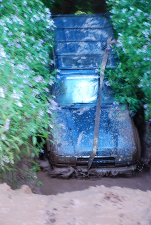 DSC_7269.JPG