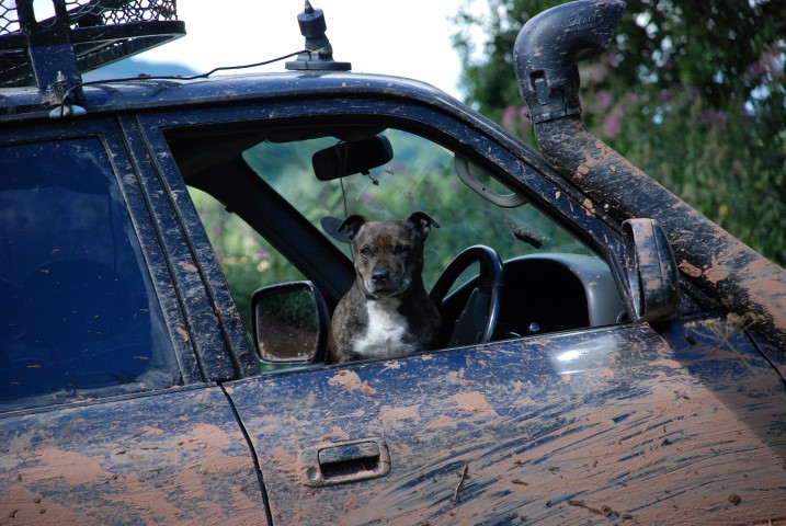 DSC_7350.JPG