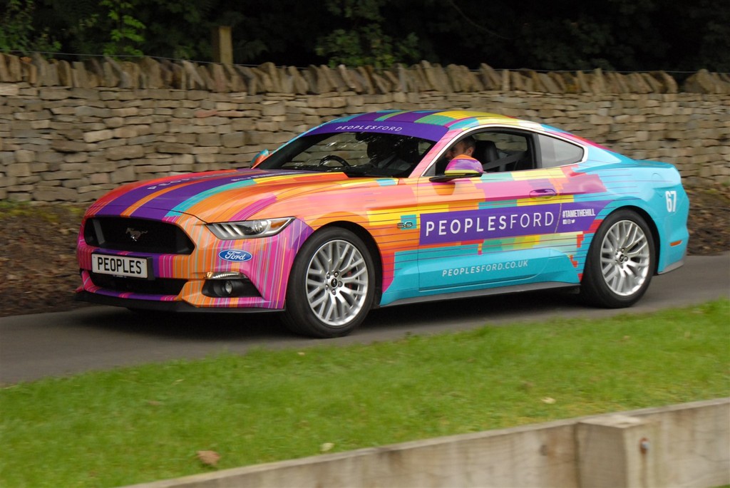 DSC_8396_zpsktfwcymc.jpg