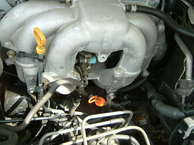 DSCF0027.jpg