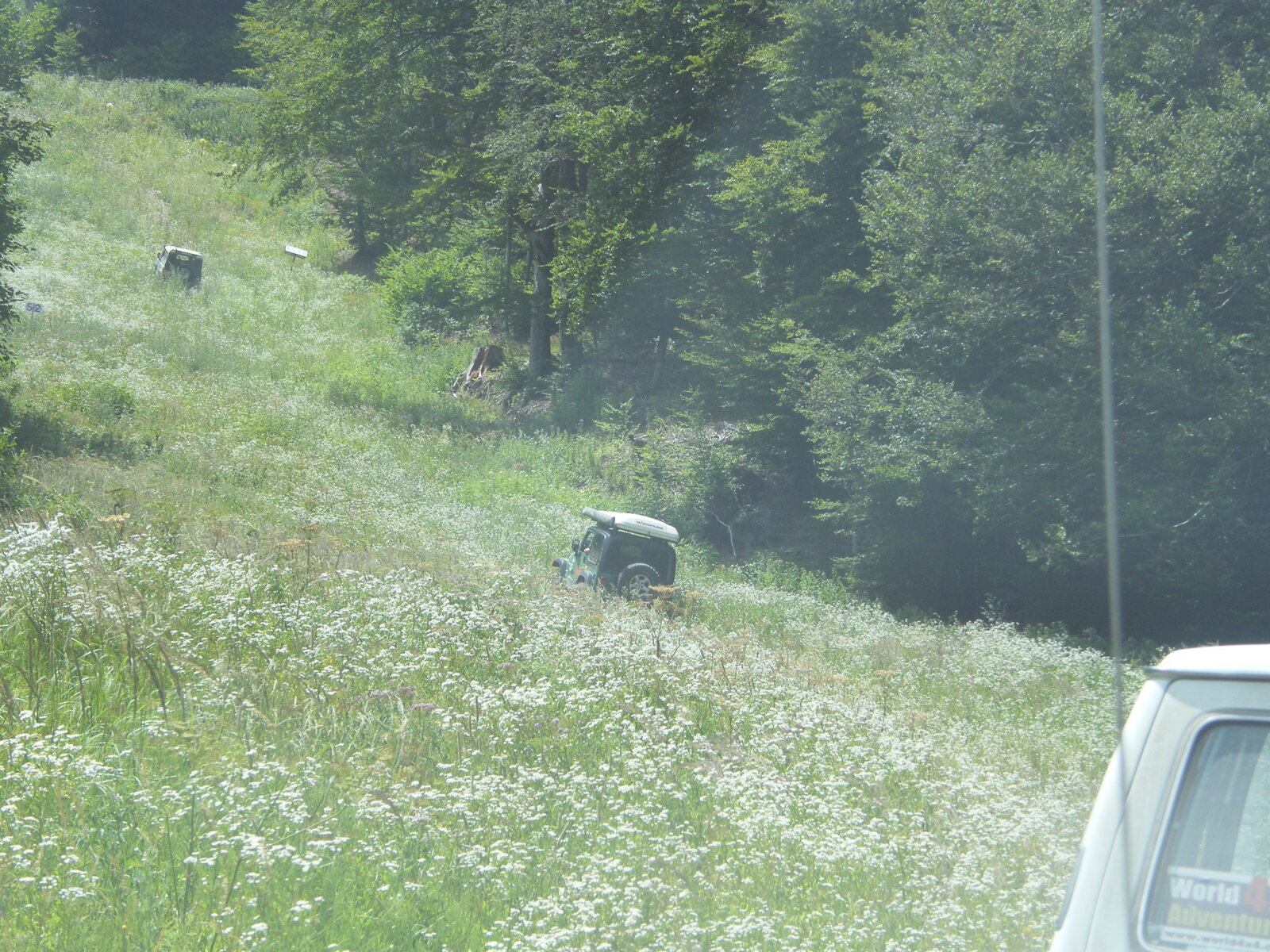 DSCF0030.JPG
