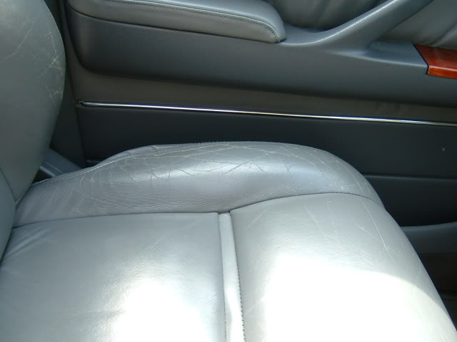 DSCF0030.jpg
