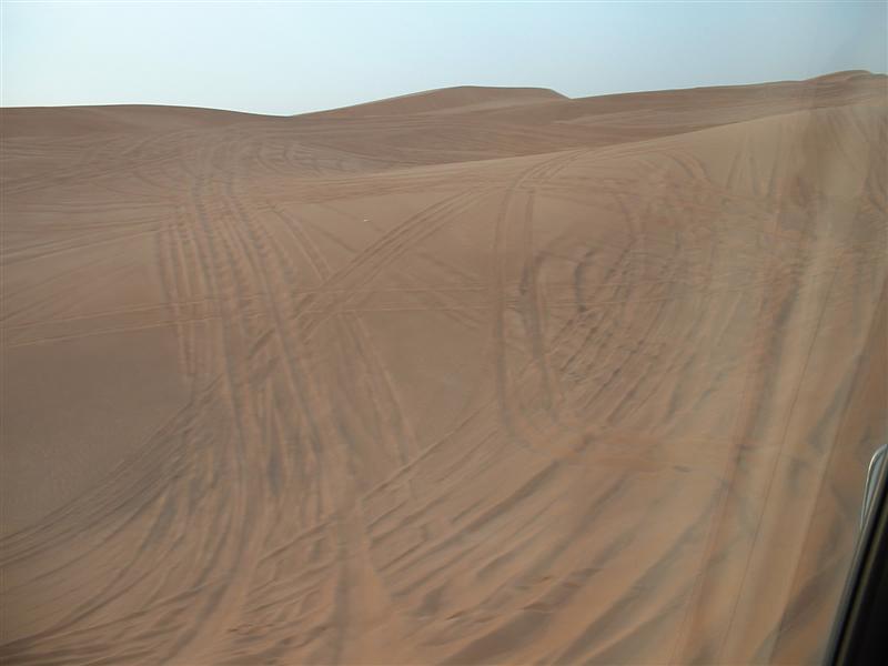 DSCF0039 (Medium).JPG