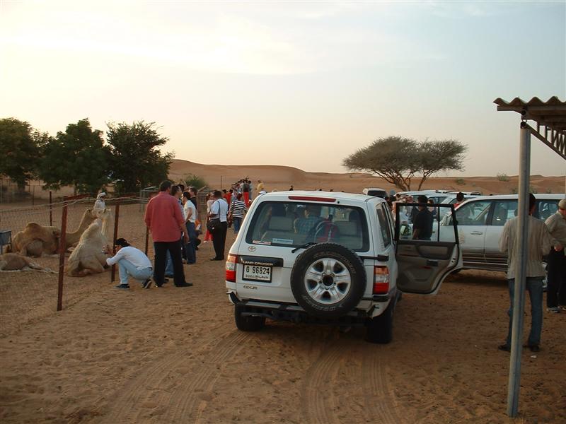 DSCF0041 (Medium).JPG