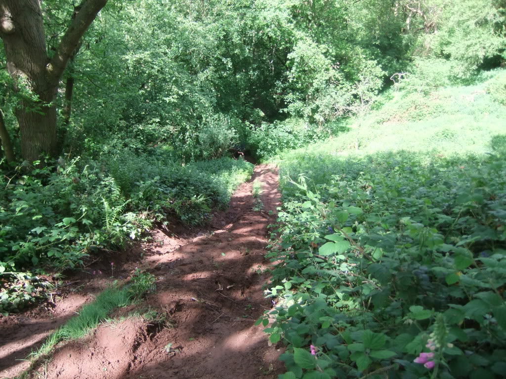 DSCF0636.jpg