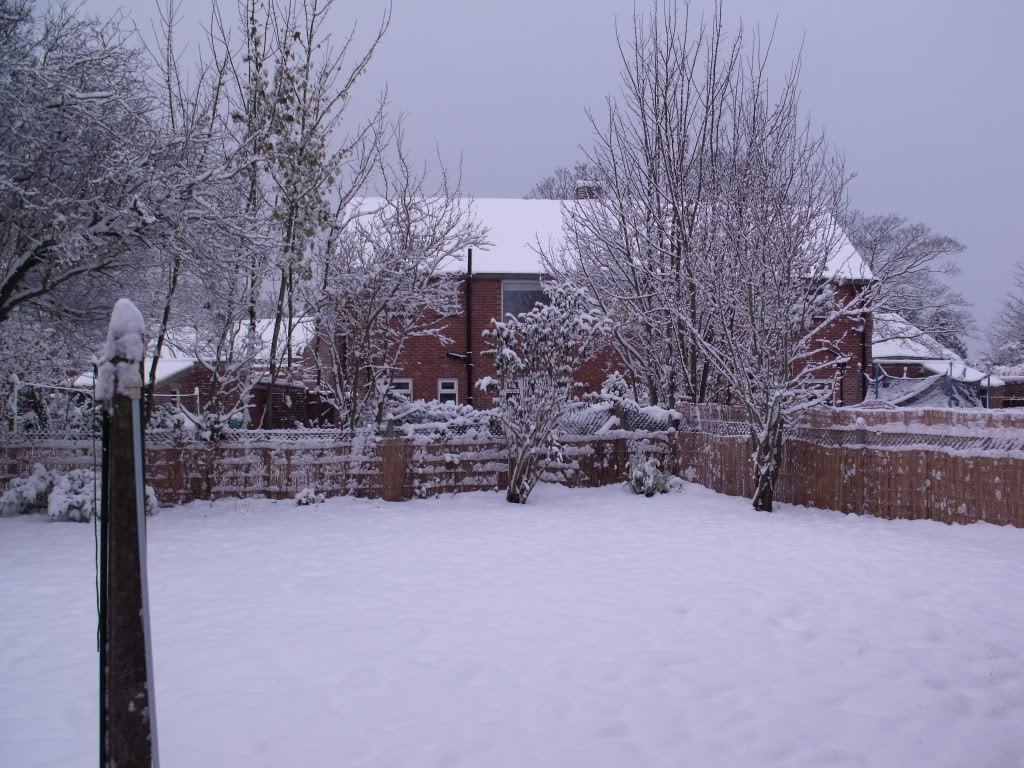DSCF0705.jpg