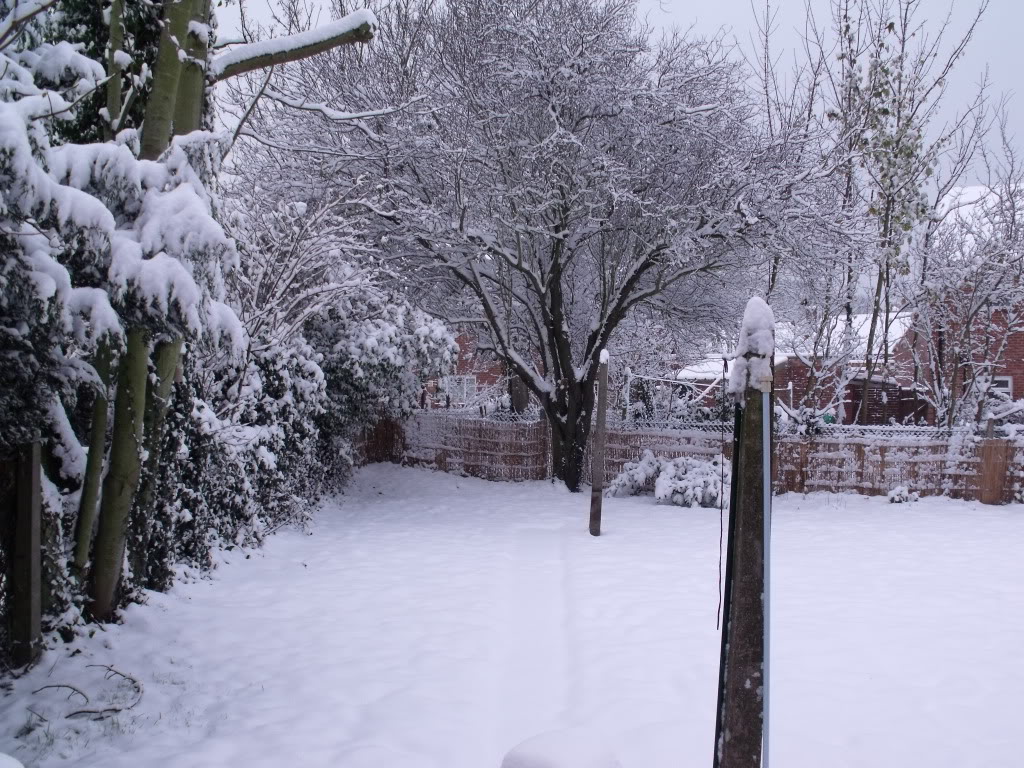 DSCF0706.jpg