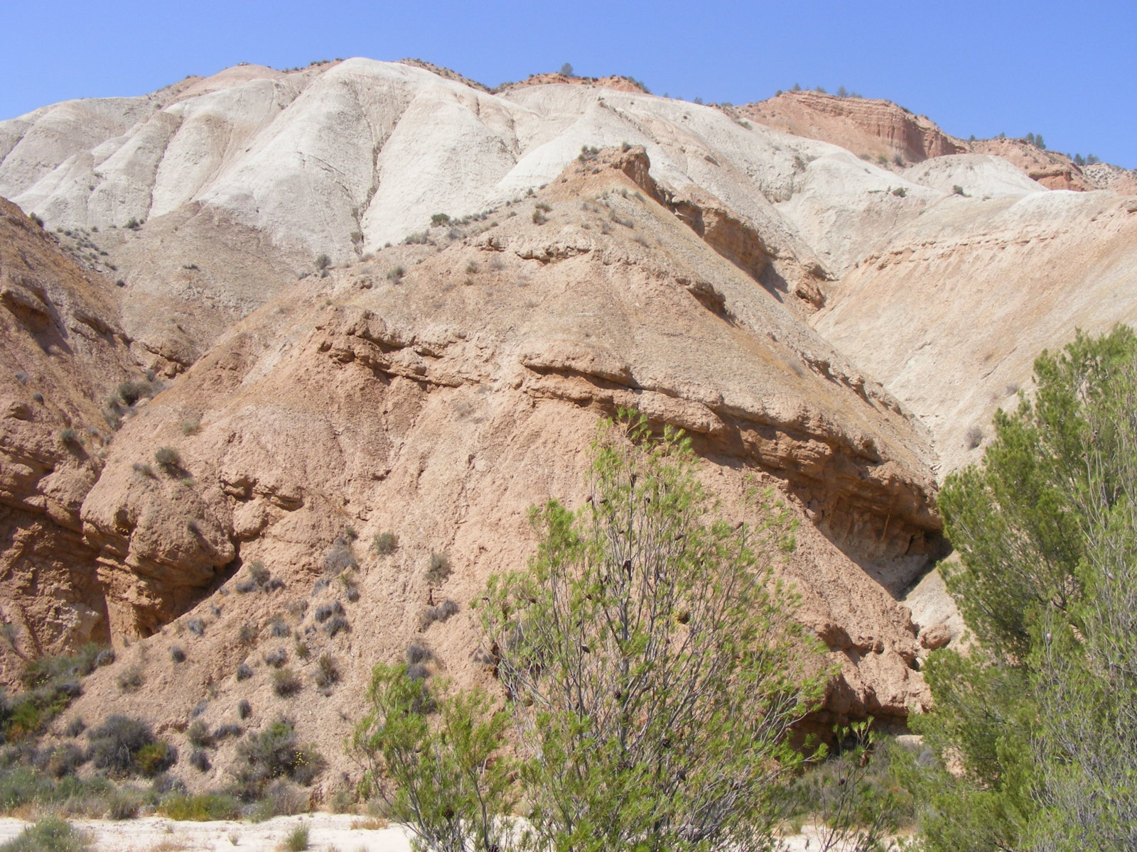 DSCF0777.JPG