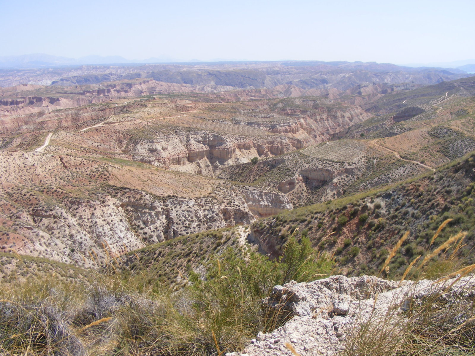 DSCF0809.JPG