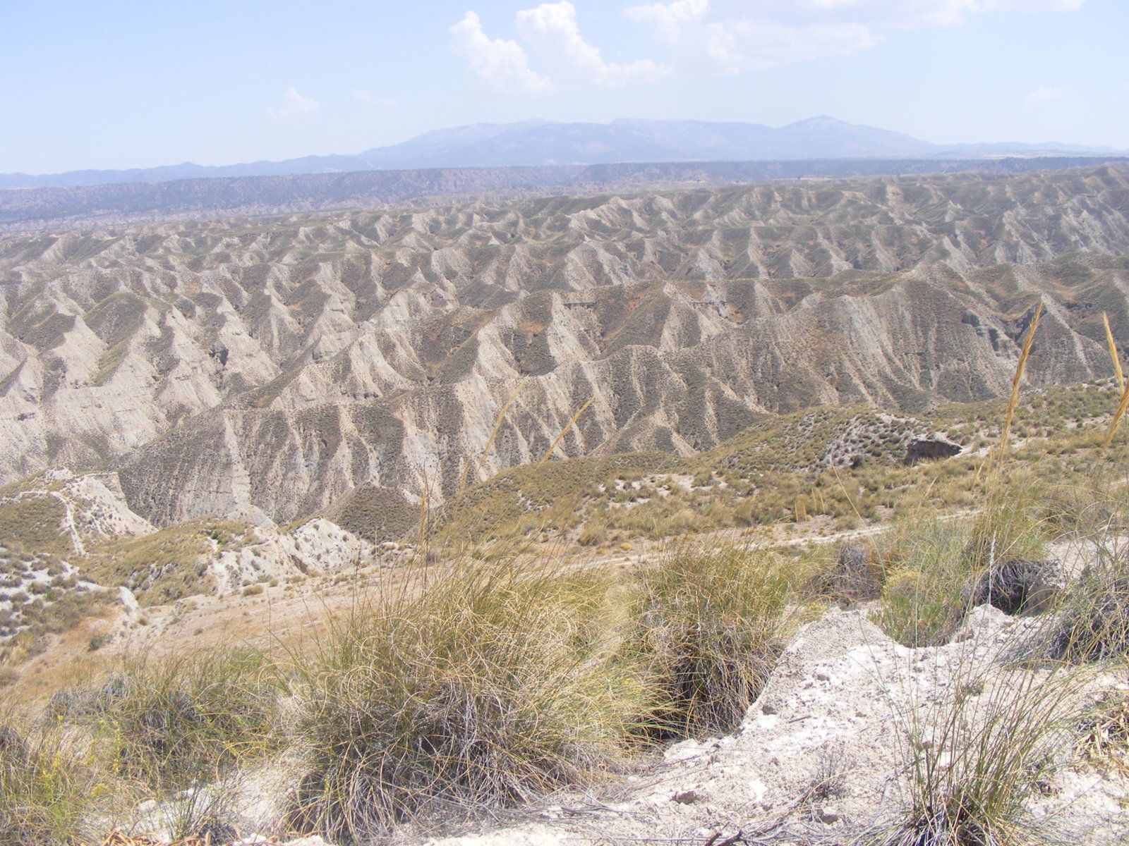 DSCF0848.JPG