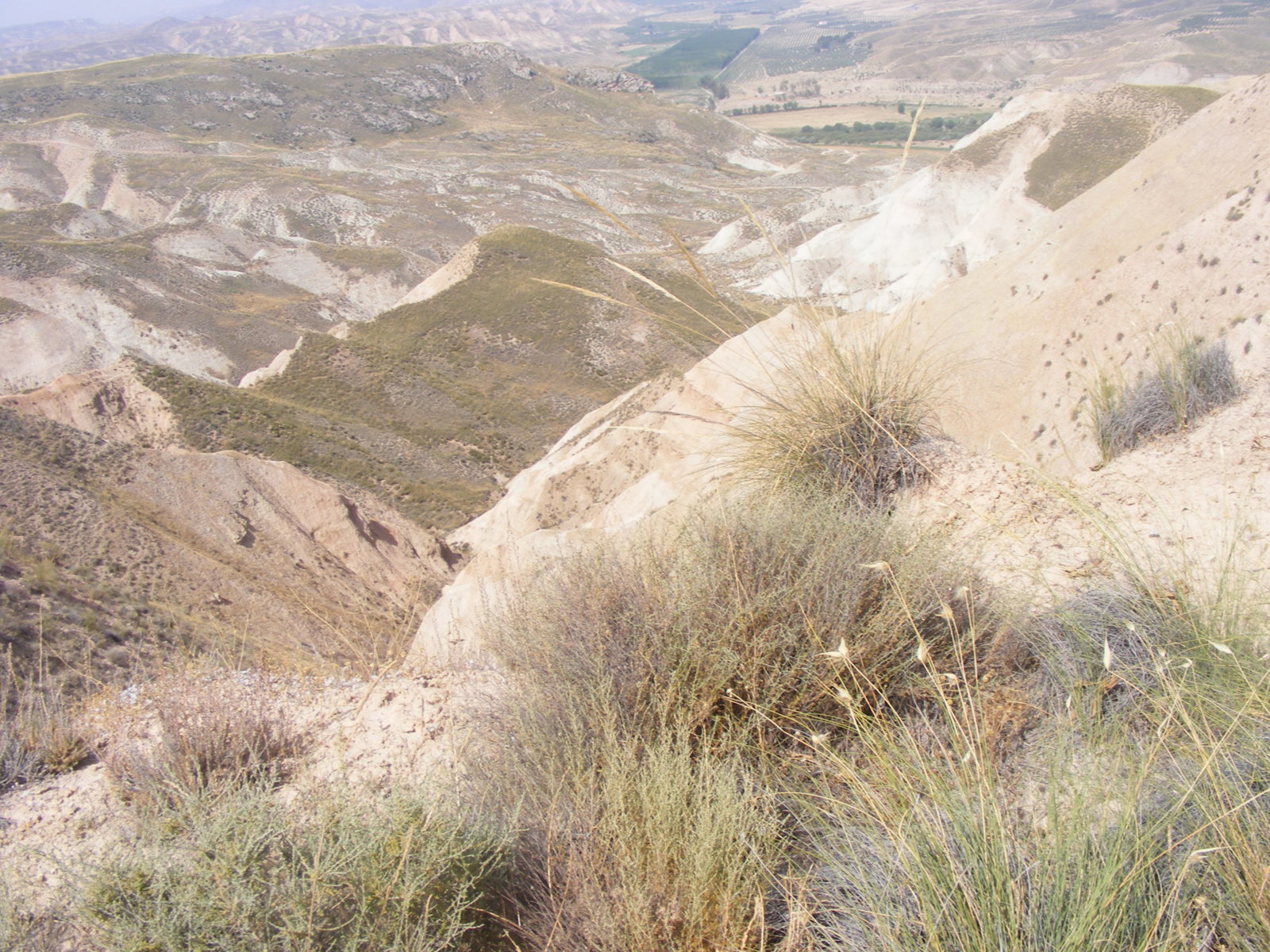 DSCF0857.JPG