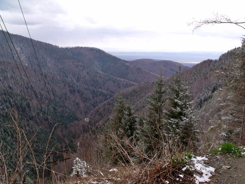 DSCF0916.jpg