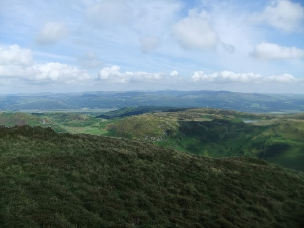 DSCF0932.jpg