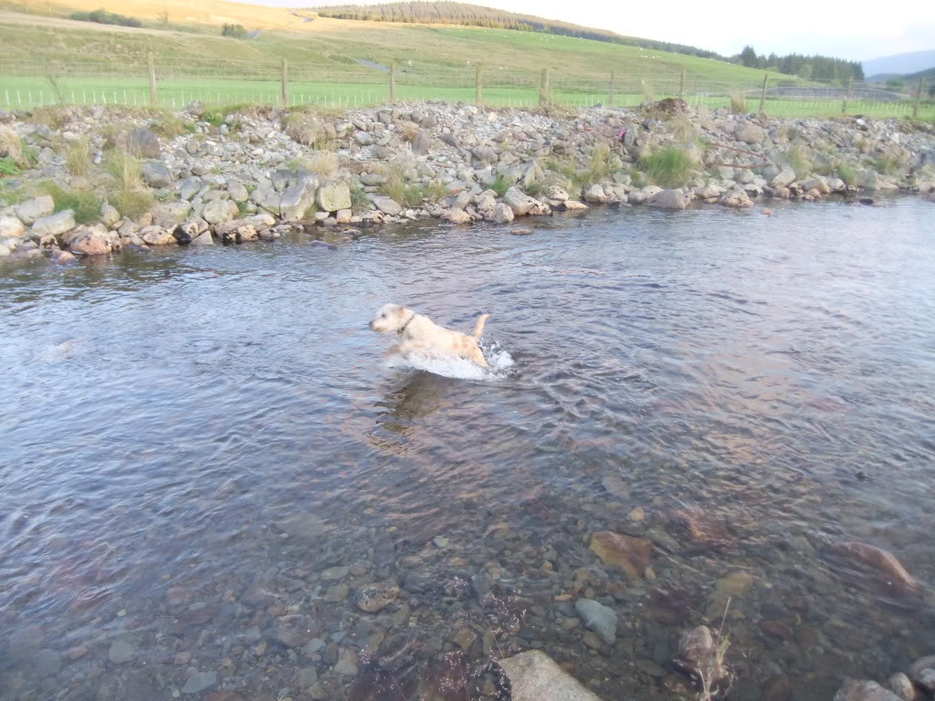 DSCF0940.jpg