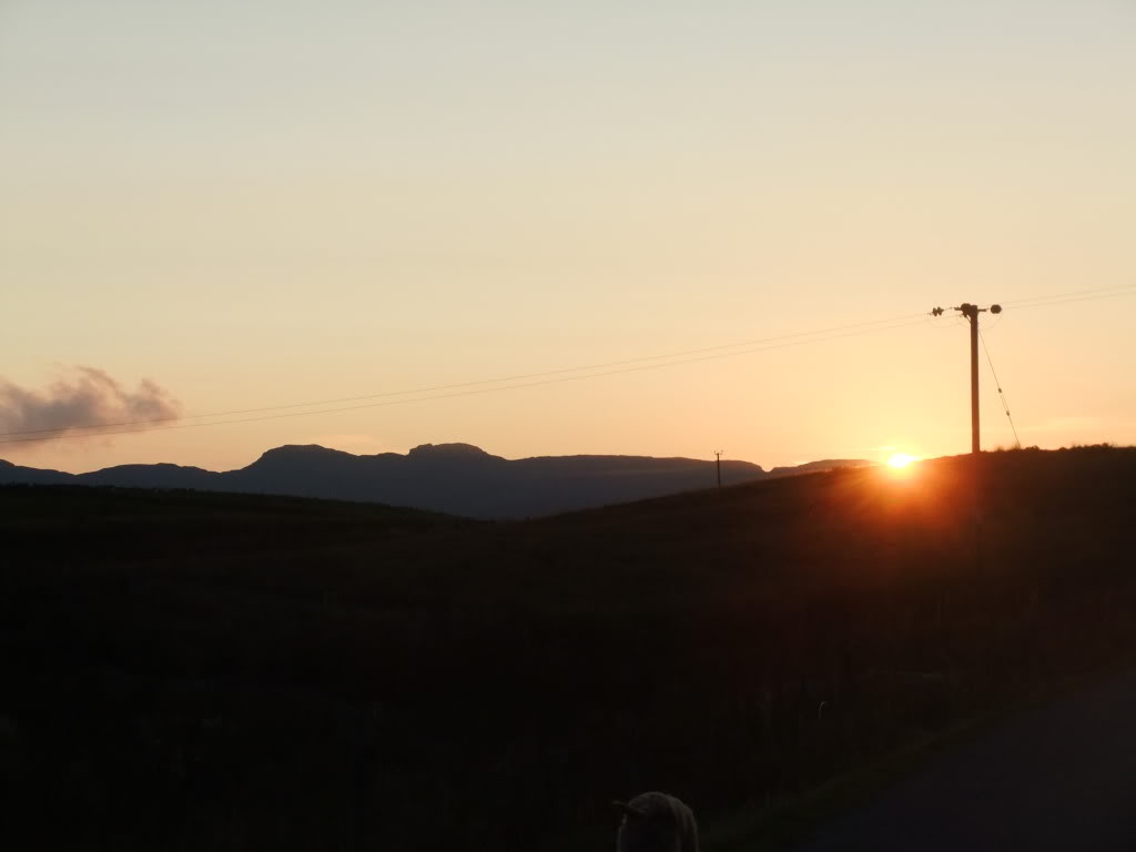 DSCF0944.jpg