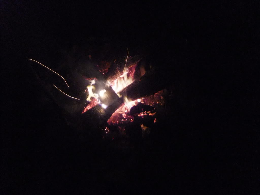 DSCF0950.jpg