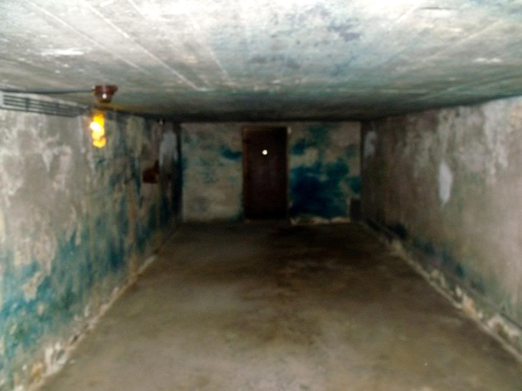 DSCF1001.jpg