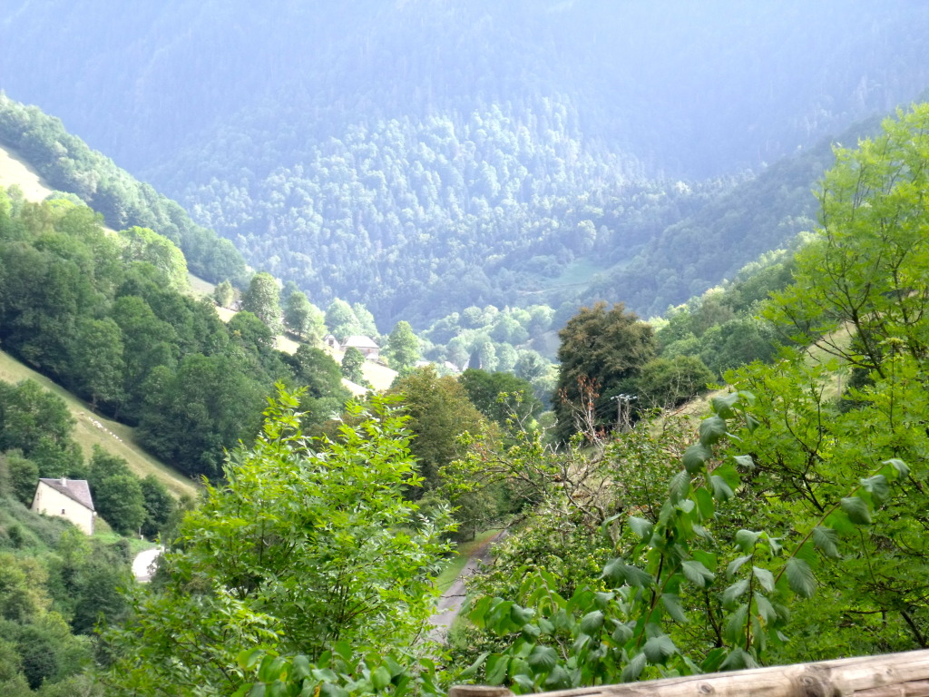 DSCF1105.jpg