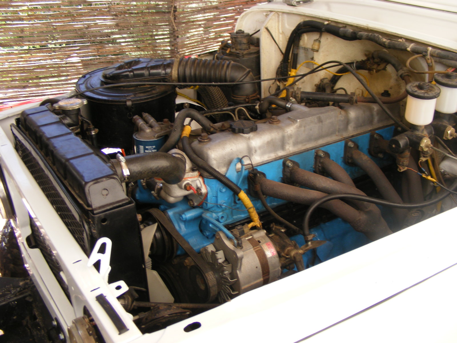 DSCF2526.JPG