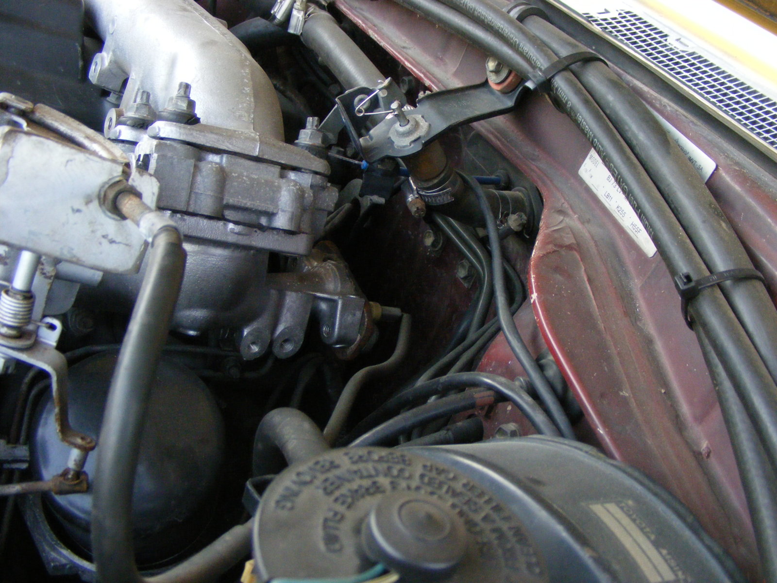 DSCF3004.JPG