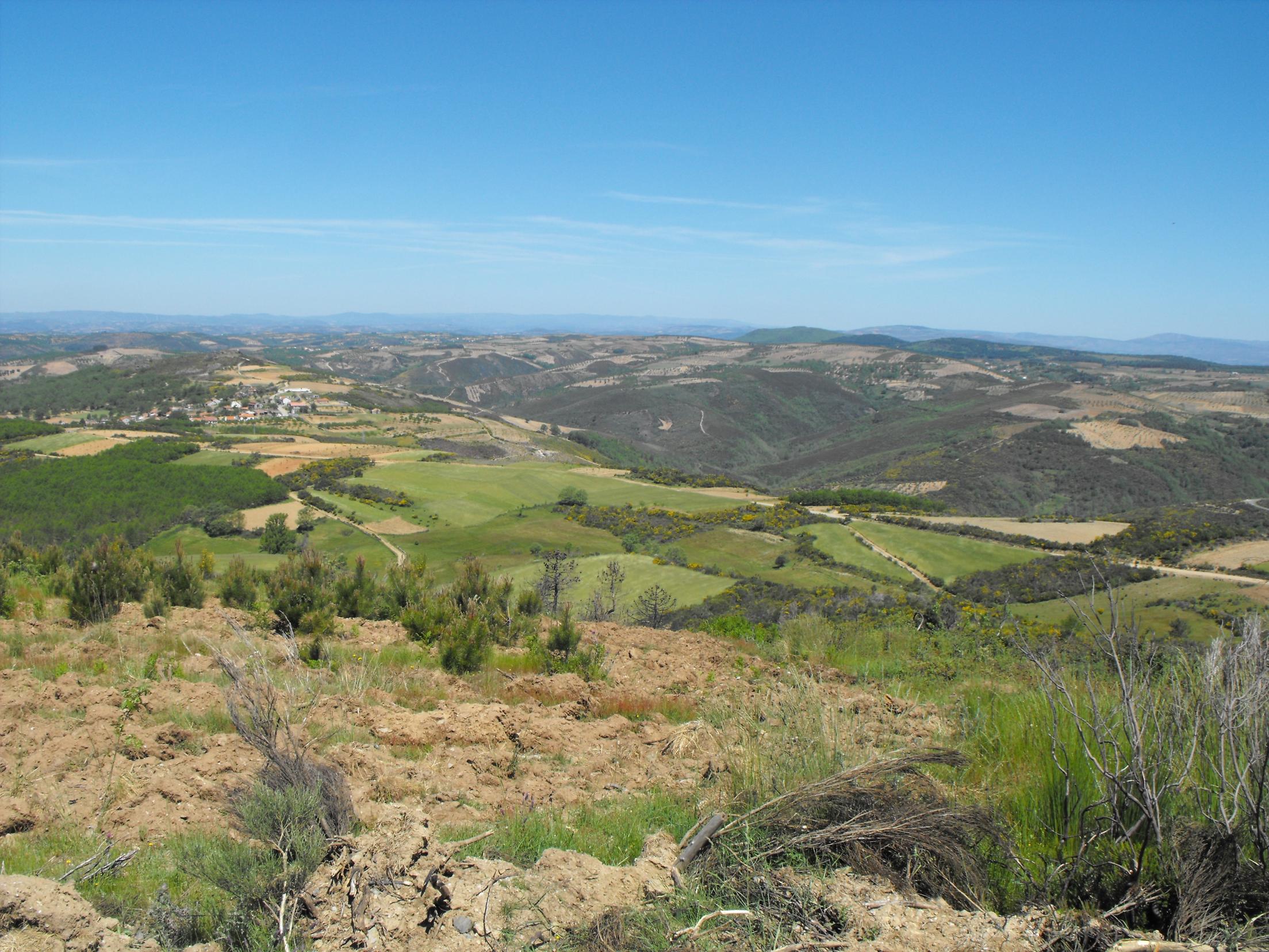 DSCF4625.jpg