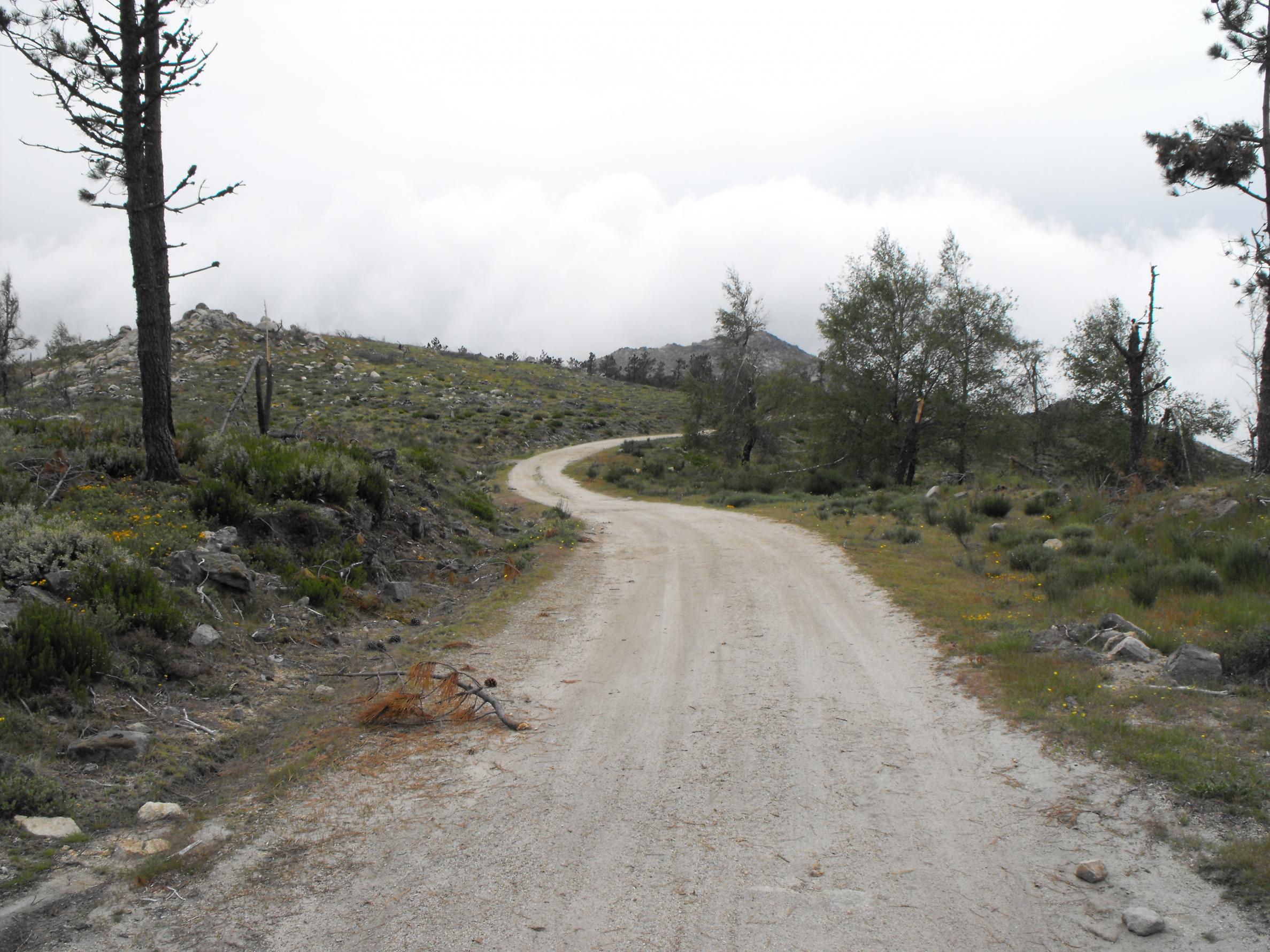DSCF4706.jpg