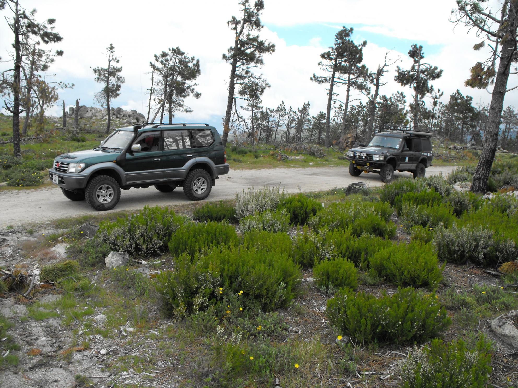 DSCF4708.jpg