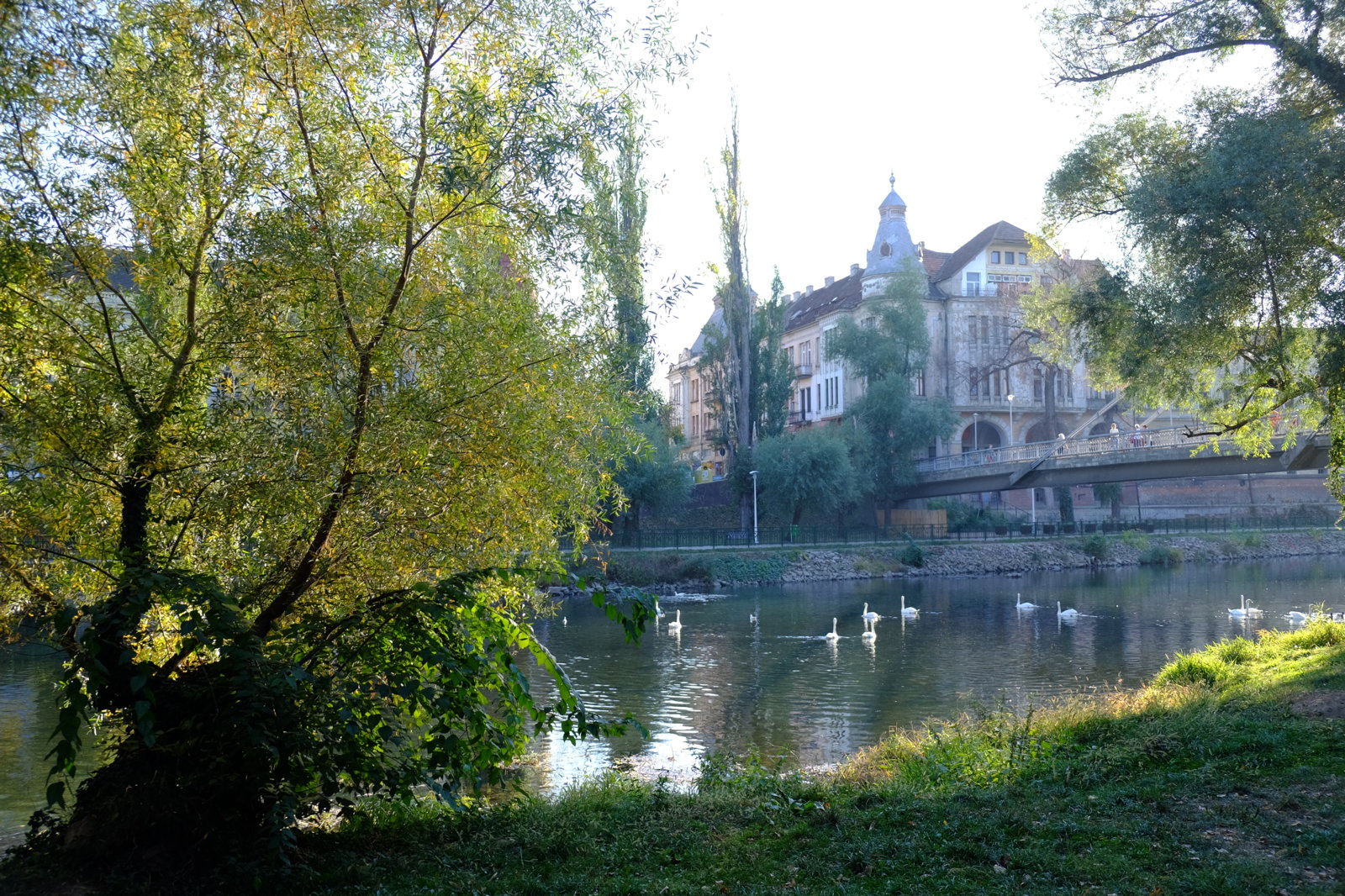 DSCF7710.JPG