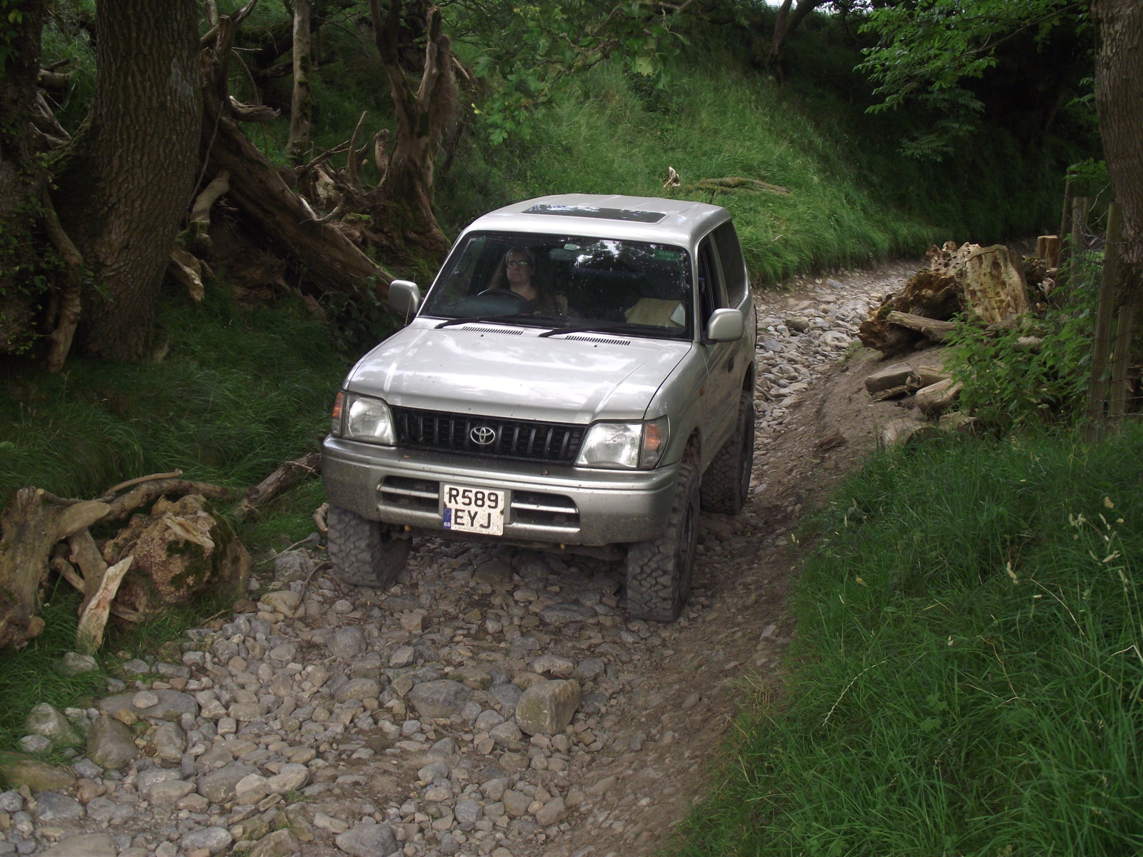 DSCF8229.jpg