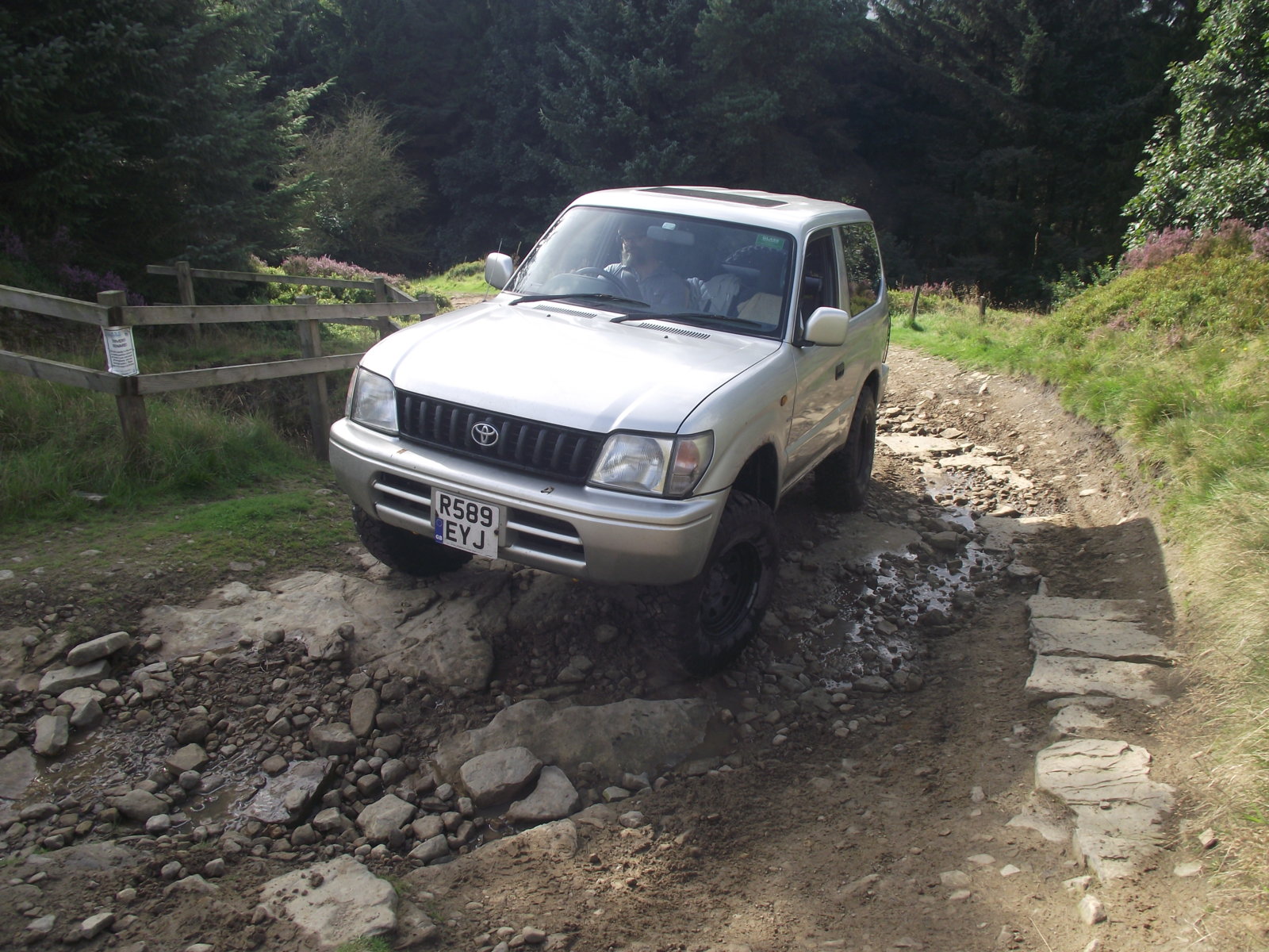DSCF8533.jpg