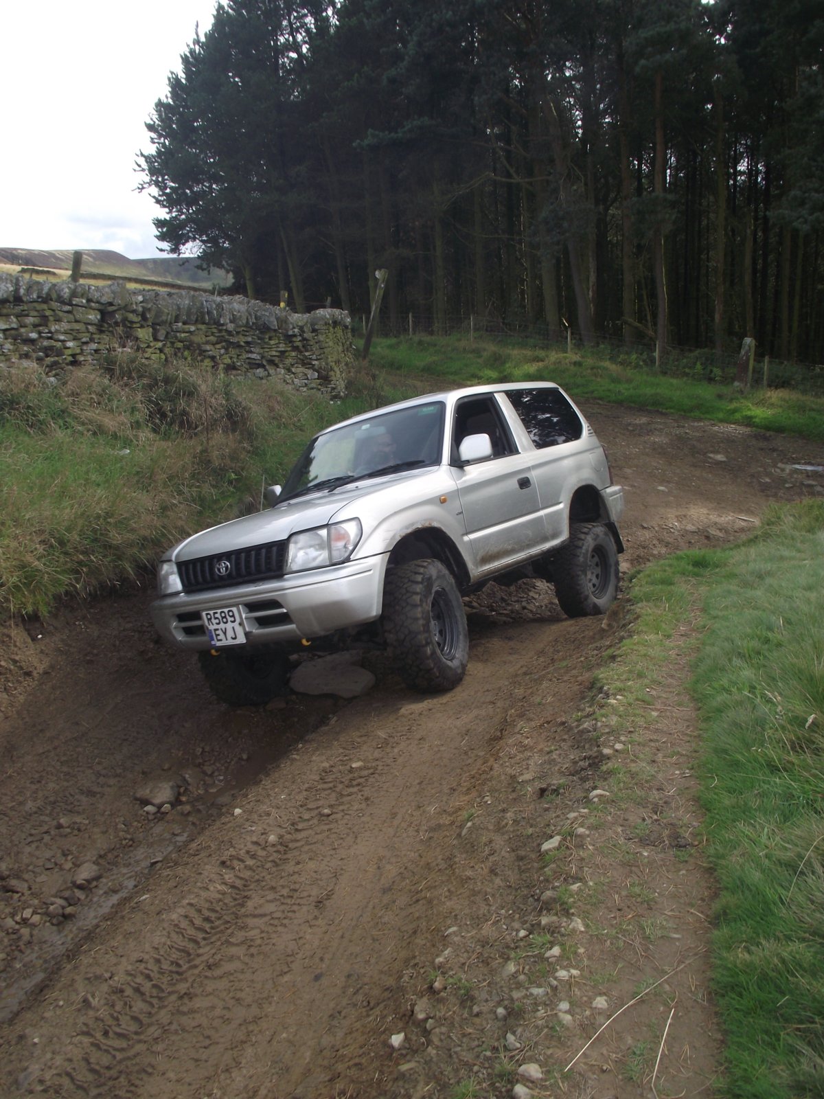 DSCF8548.jpg