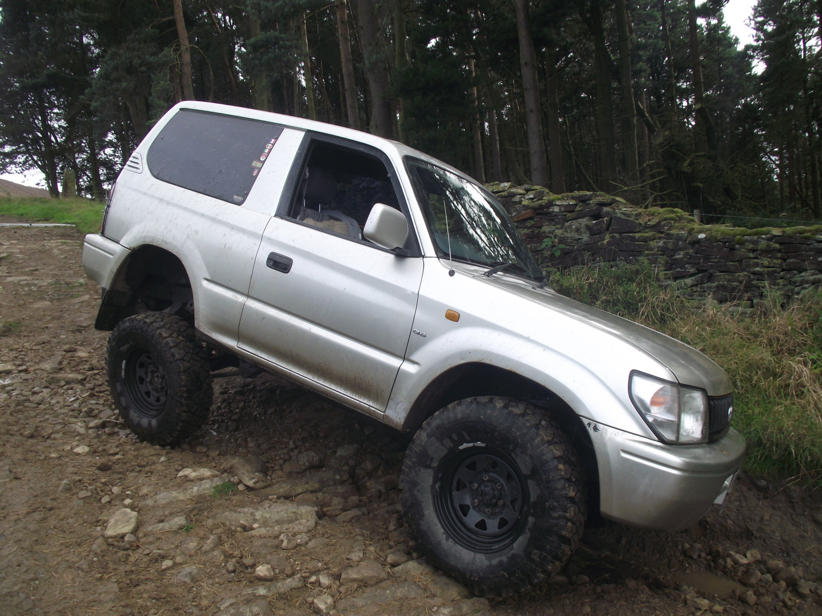 DSCF8556.jpg