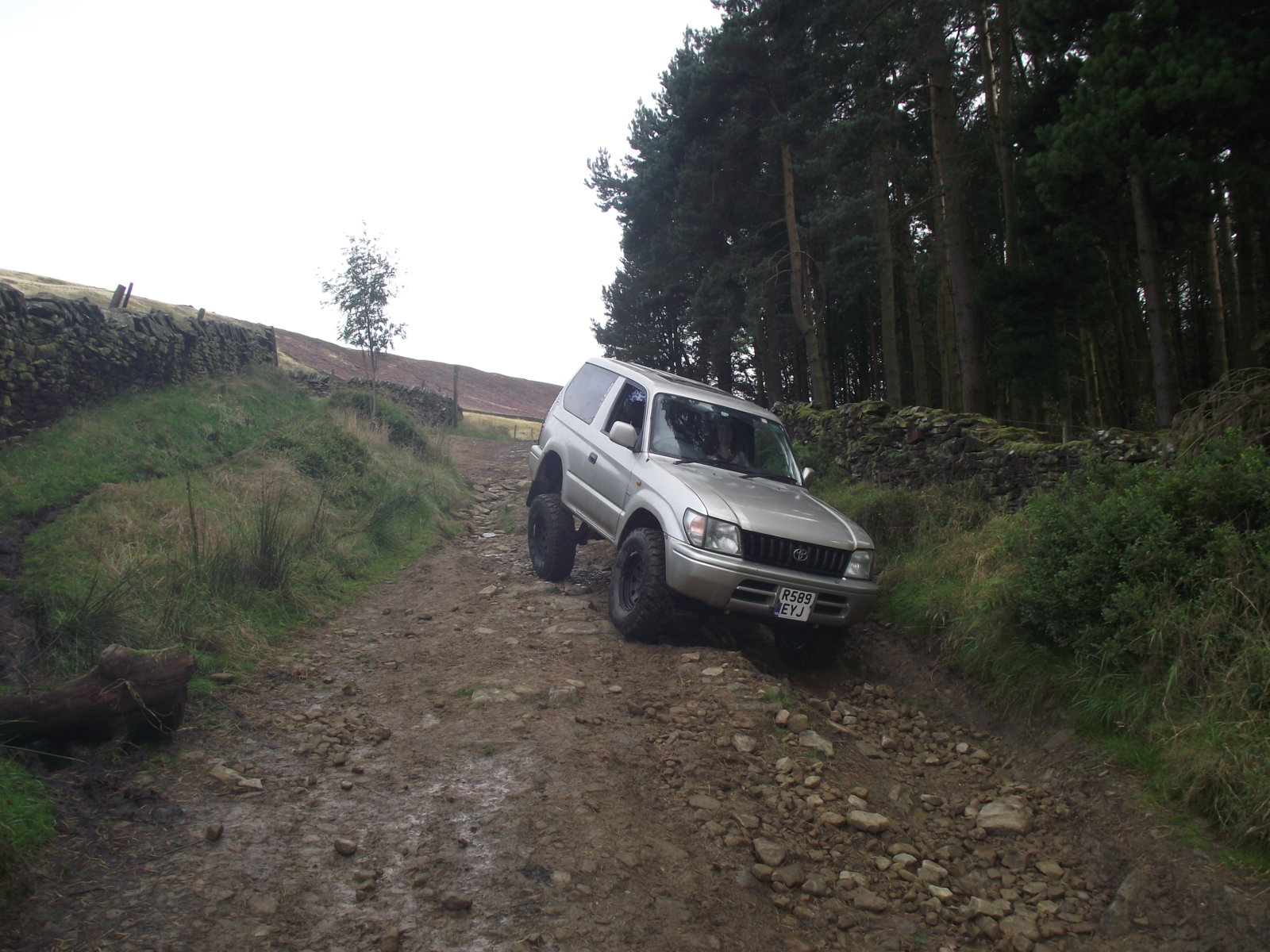 DSCF8557.jpg