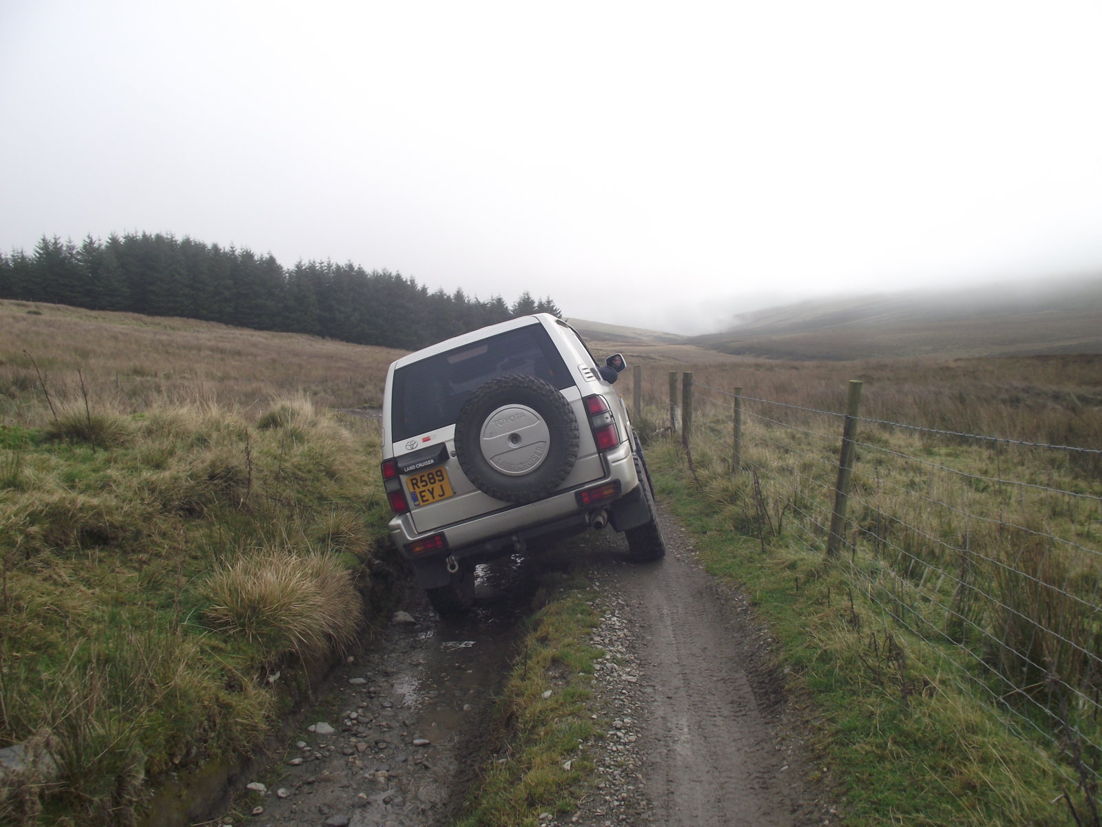DSCF8774.jpg