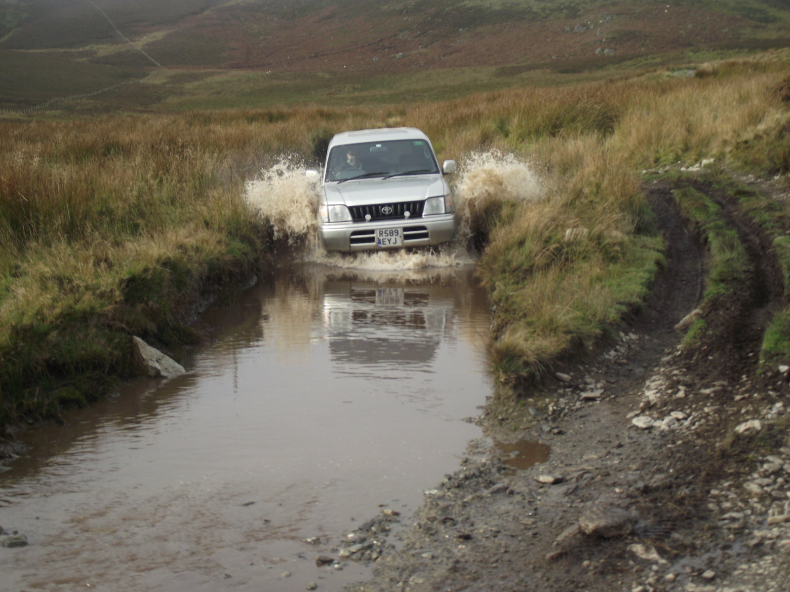 DSCF8780.jpg