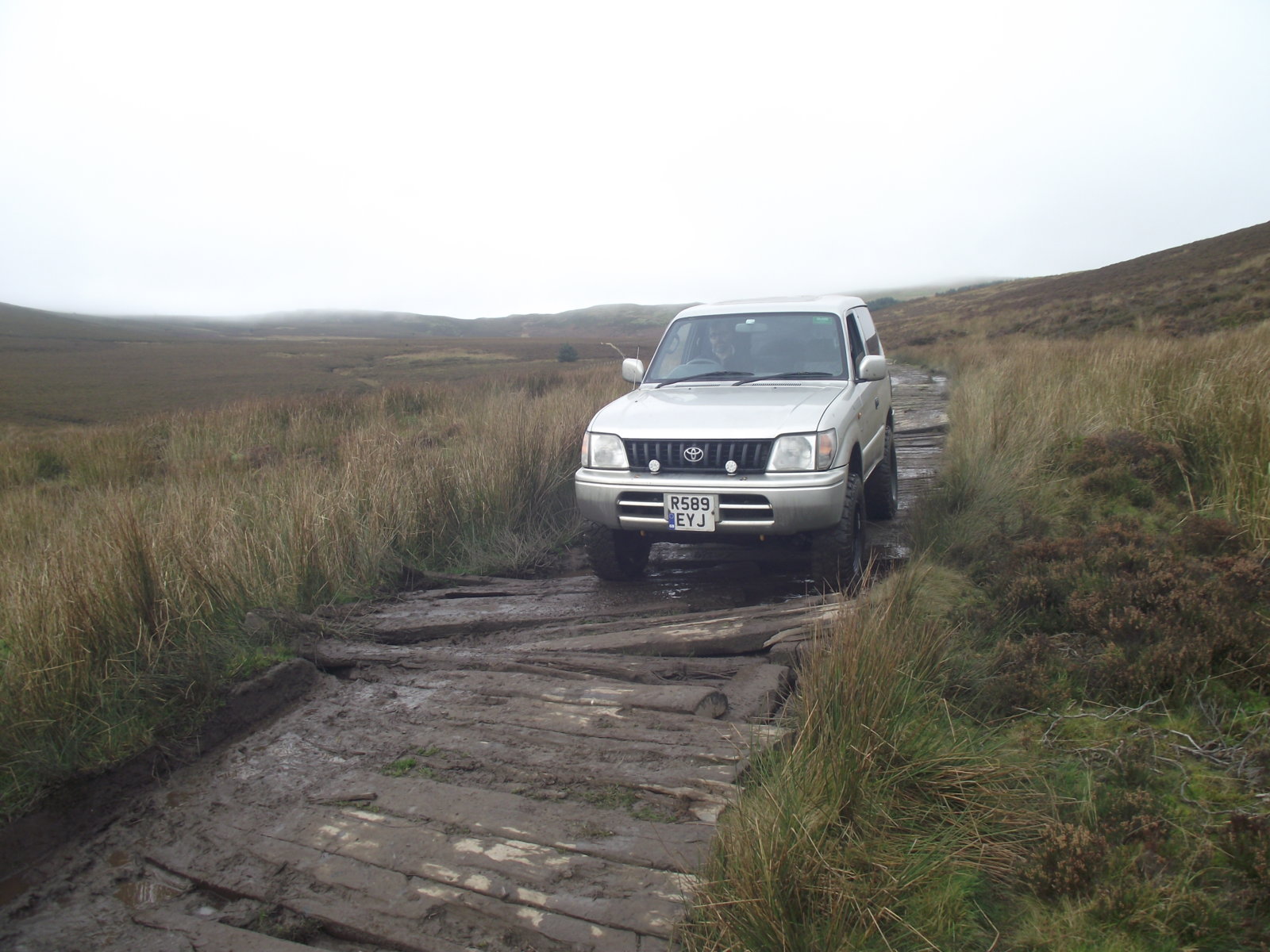DSCF8790.jpg