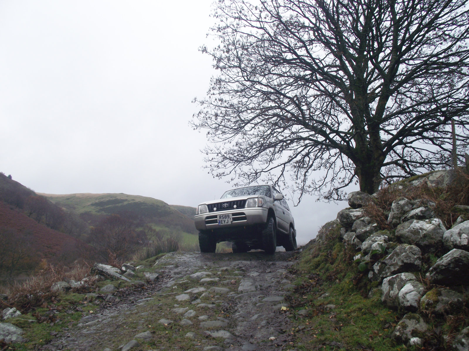 DSCF8918.jpg