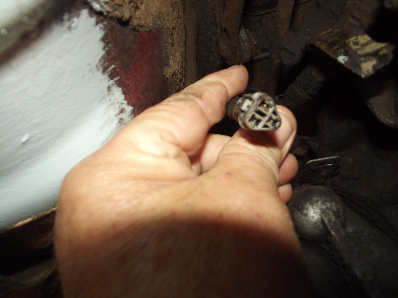 DSCF9700.JPG