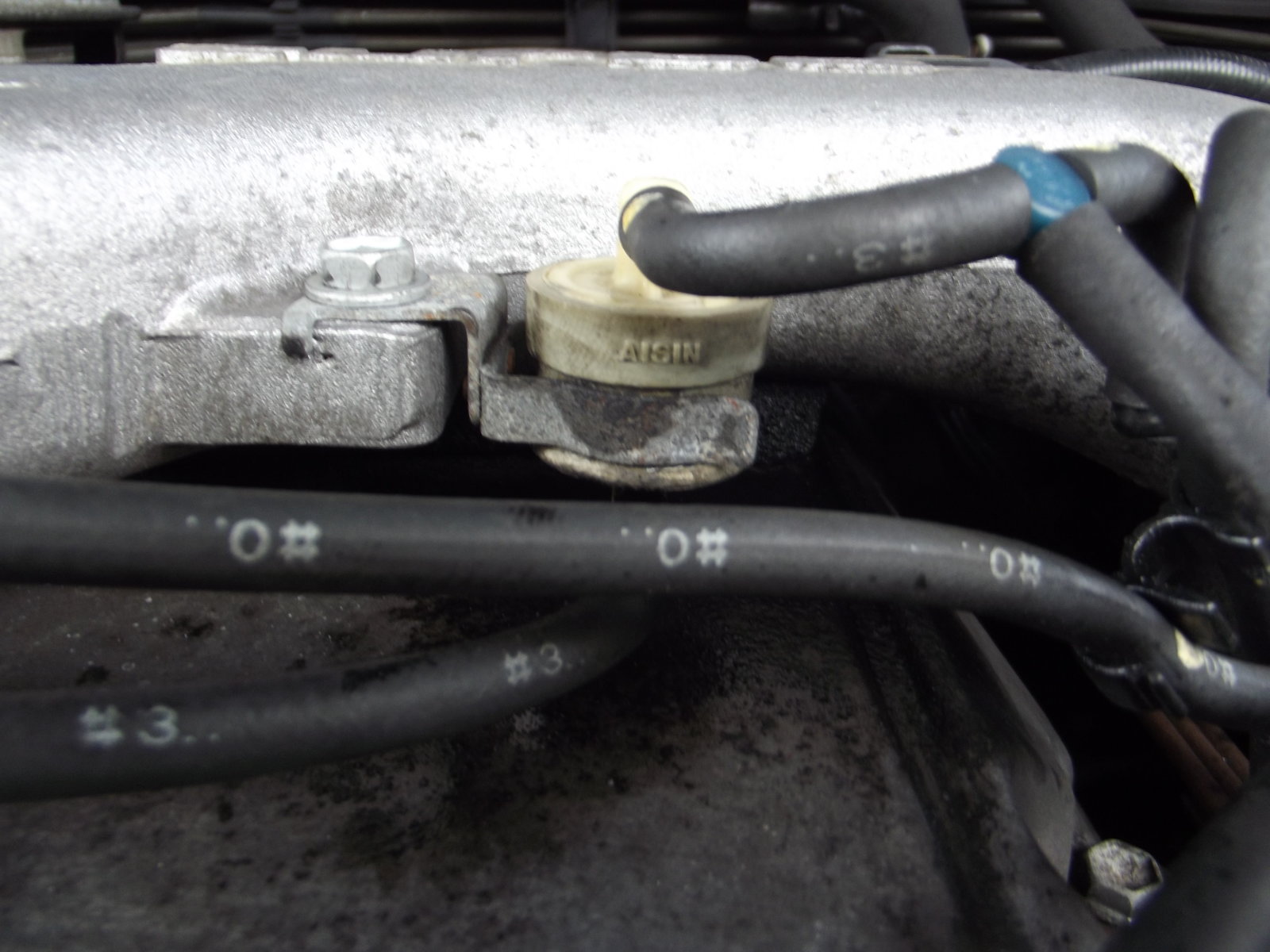 DSCF9879.JPG