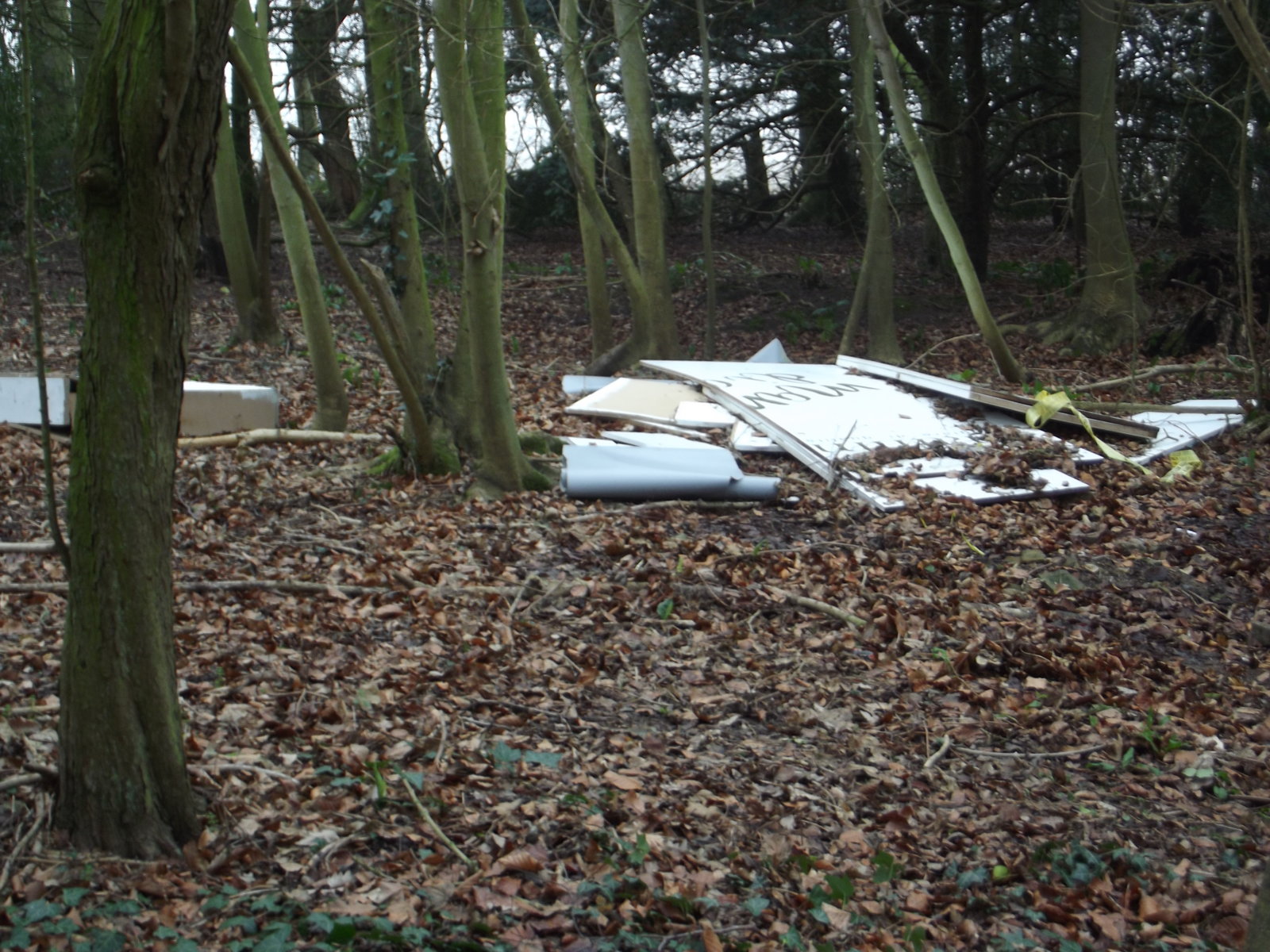 DSCF9906.JPG