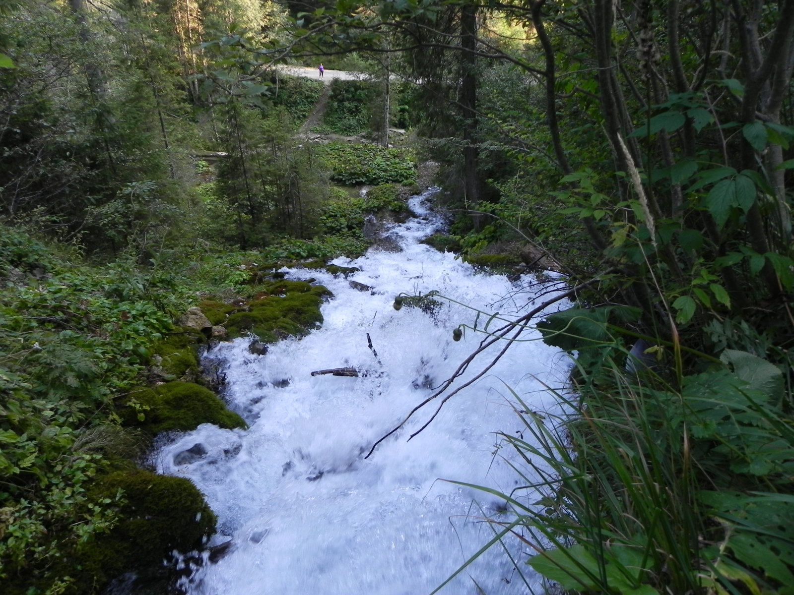 DSCN0184.JPG