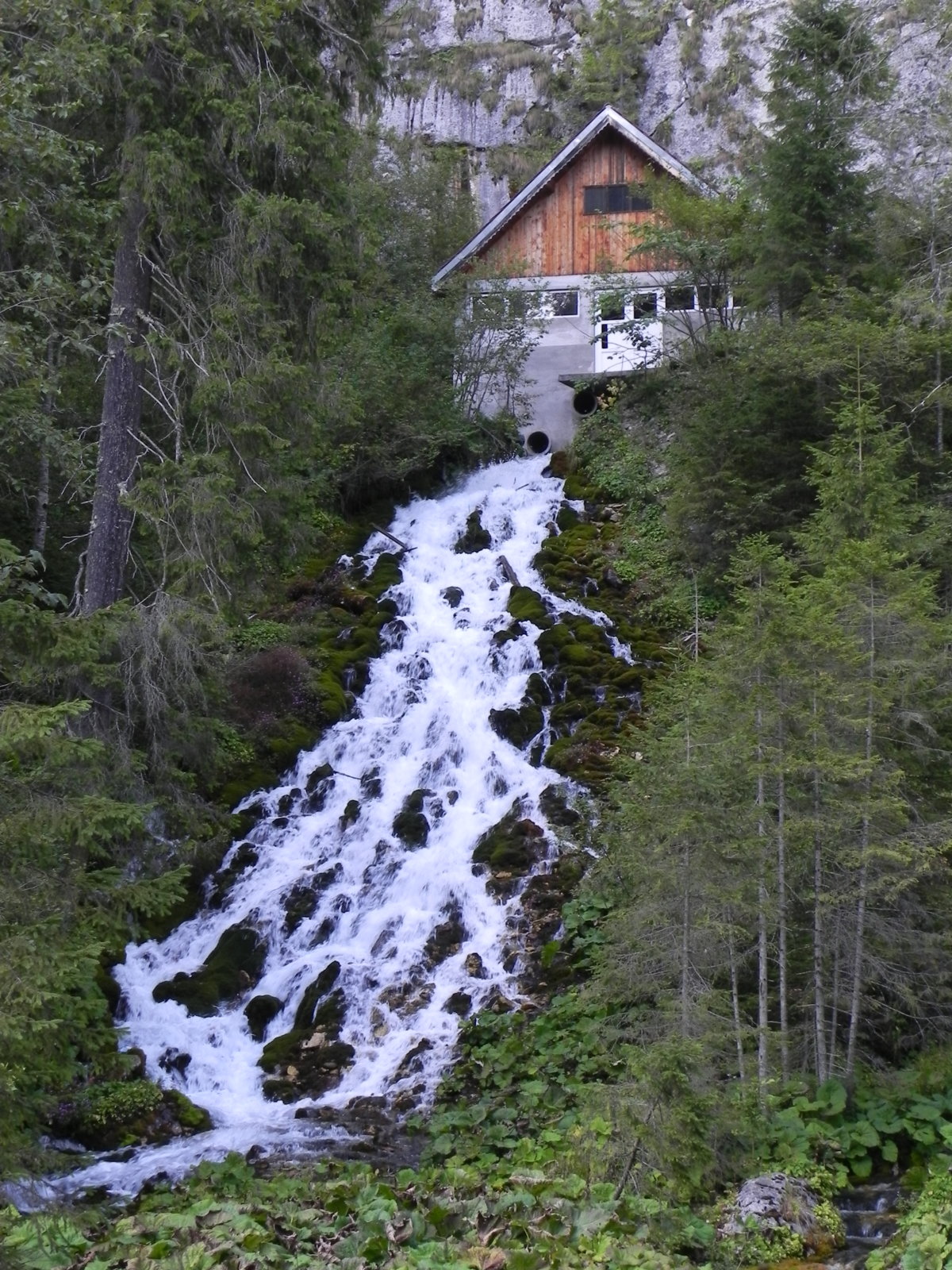 DSCN0200.JPG