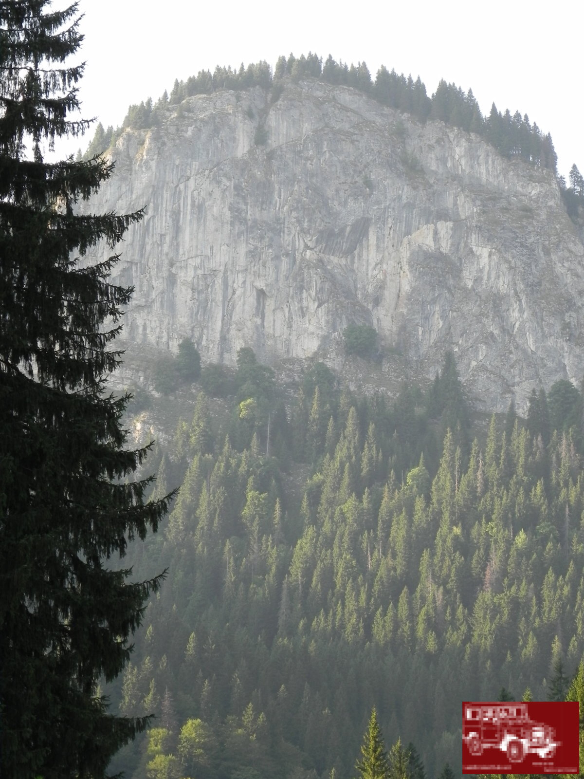 DSCN0211